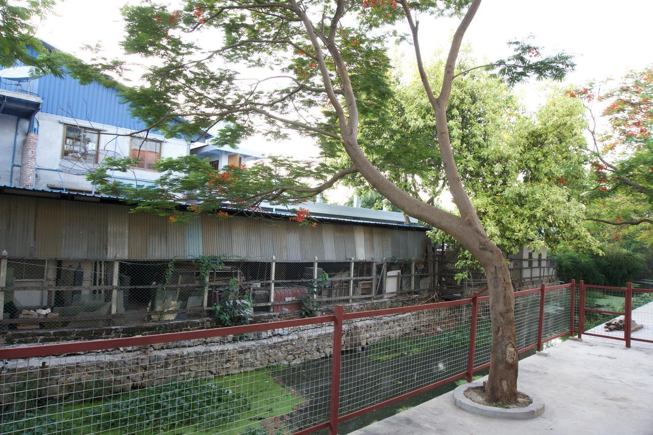 西莉亚曼德勒青年旅馆旅舍 外观 照片